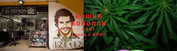 PSILOCYBIN Новозыбков