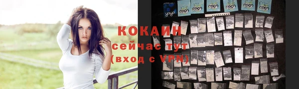 PSILOCYBIN Новозыбков