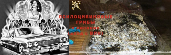 ALPHA PVP Новокубанск