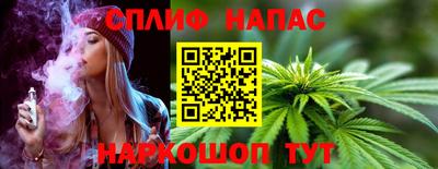 дмт Дубна